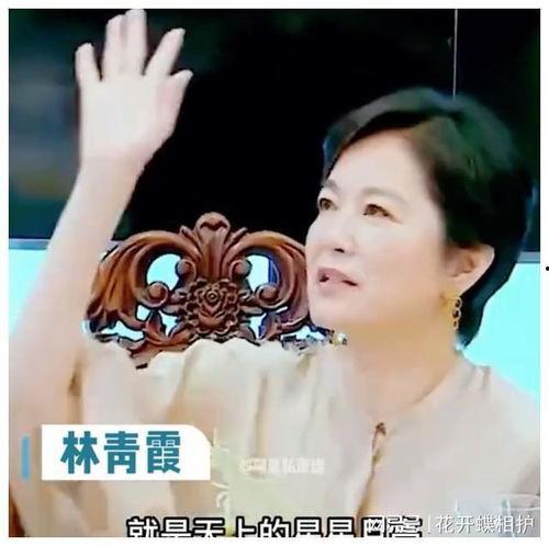 娱乐圈吃真瓜的是谁